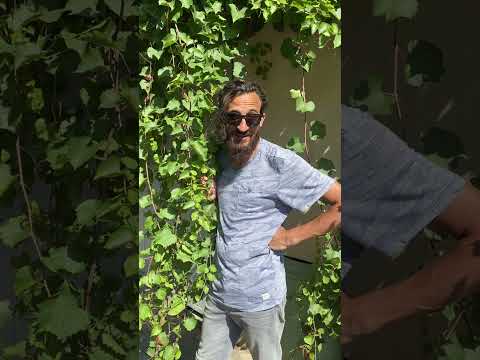 Карабаза Тарас
