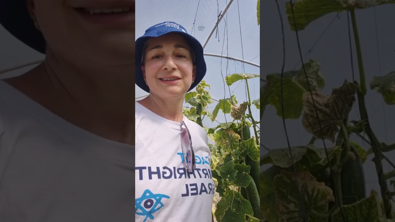 Елена Юдолович