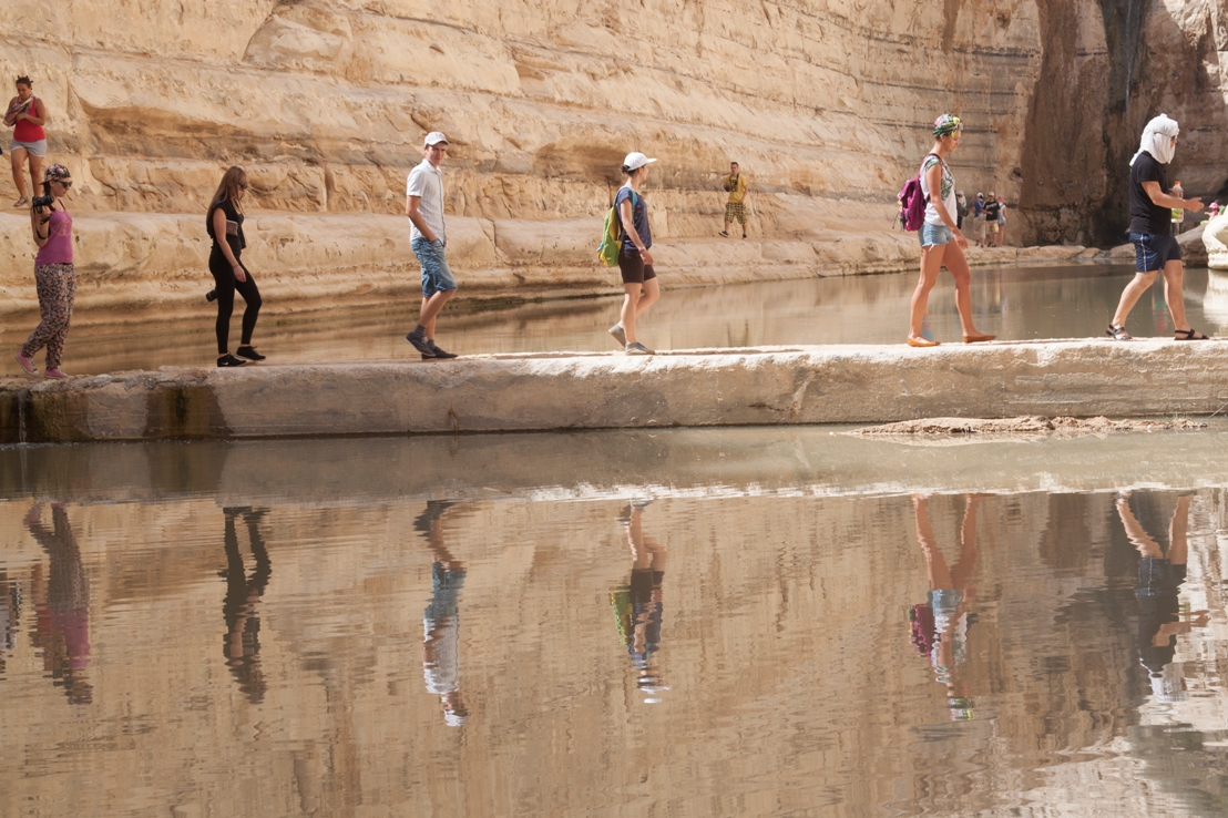 ТАГЛИТ ВОЛОНТЕРСТВО